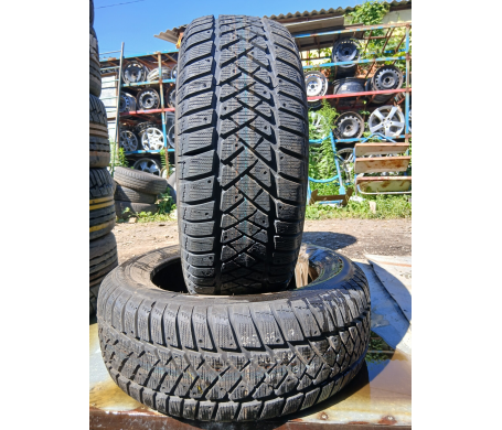 Dunlop SP Winter Sport M2 225/55 R17 101H
