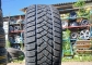 Dunlop SP Winter Sport M2 225/55 R17 101H